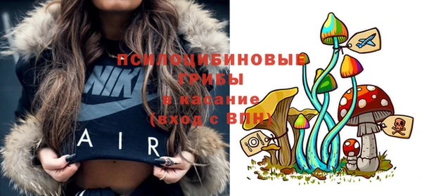гашик Абдулино