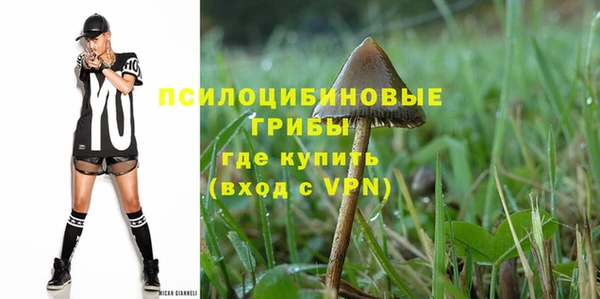 сатива Абинск