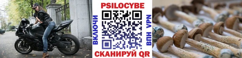 Галлюциногенные грибы Psilocybe  Кировград 